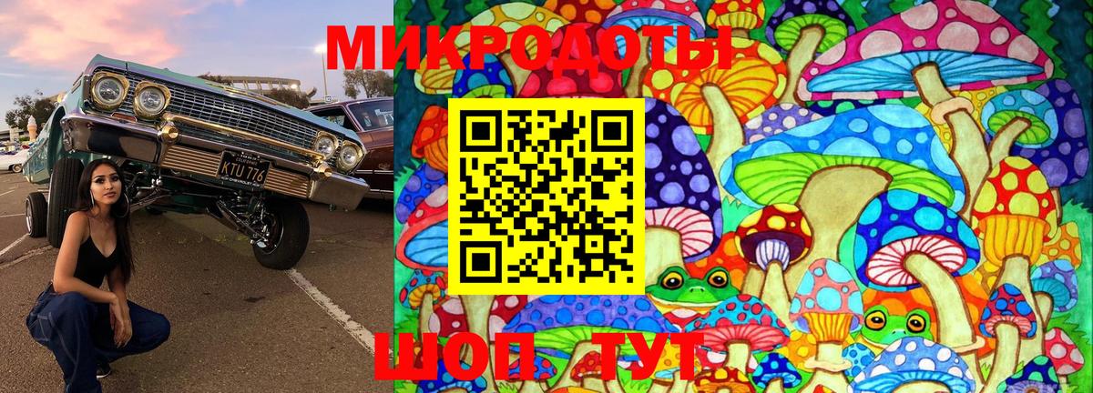 Псилоцибиновые грибы Cubensis Сальск