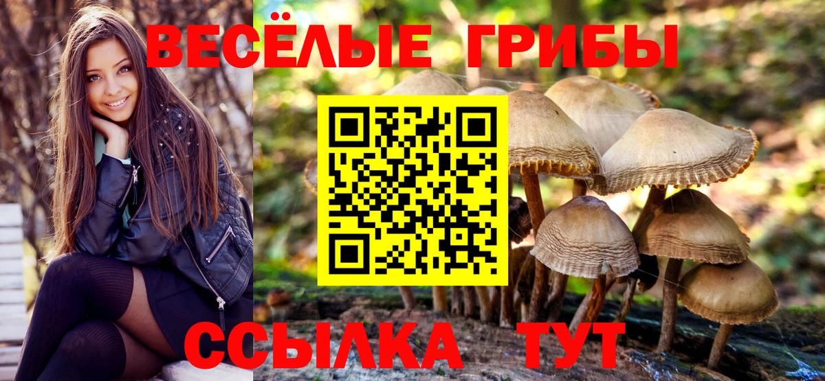 Псилоцибиновые грибы ЛСД  Вход с VPN  Сальск 
